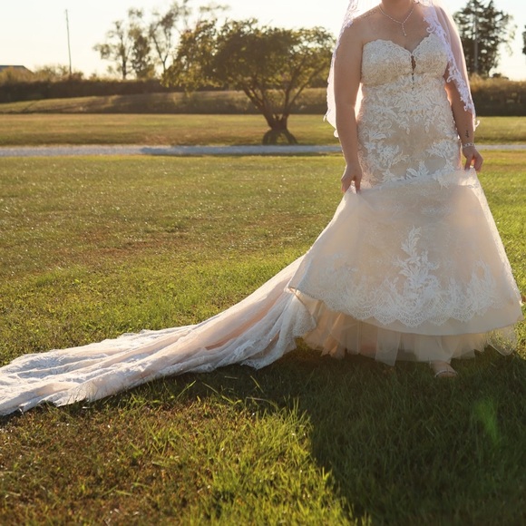 Martin Thornburg wedding gown - Picture 3 of 7